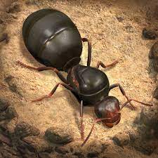 Buy The Ants Underground Kingdom Farm Accounts